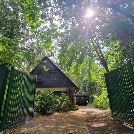 Ferienhaus Thymian In Bei Oldenburg - Idyllische Waldlage Holiday home Hatten