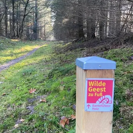 Prázdninový dům Thymian In Bei Oldenburg - Idyllische Waldlage Hatten