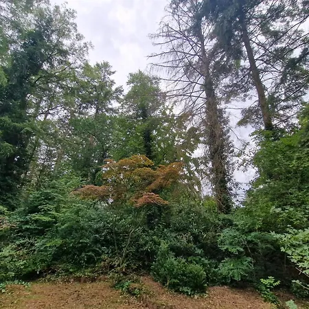 Ferienhaus Thymian In Bei Oldenburg - Idyllische Waldlage *
