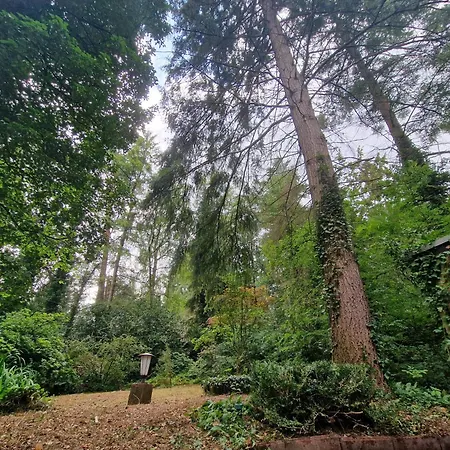 Ferienhaus Thymian In Bei Oldenburg - Idyllische Waldlage Hatten