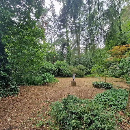 Thymian In Bei Oldenburg - Idyllische Waldlage Prázdninový dům