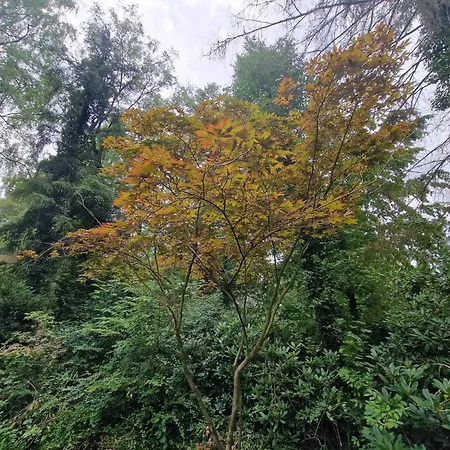 Prázdninový dům Thymian In Bei Oldenburg - Idyllische Waldlage *