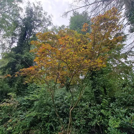 Дом отдыха Thymian In Bei Oldenburg - Idyllische Waldlage *