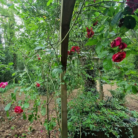 Thymian In Bei Oldenburg - Idyllische Waldlage Prázdninový dům *