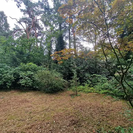 Ferienhaus Thymian In Bei Oldenburg - Idyllische Waldlage Hatten
