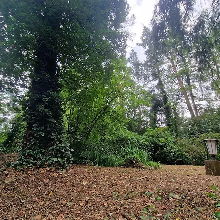 Thymian In Bei Oldenburg - Idyllische Waldlage Prázdninový dům
