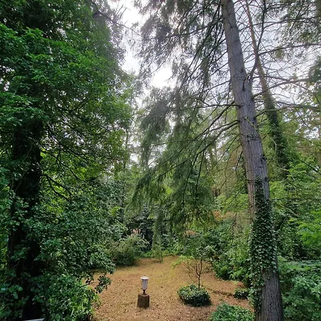 Prázdninový dům Thymian In Bei Oldenburg - Idyllische Waldlage *
