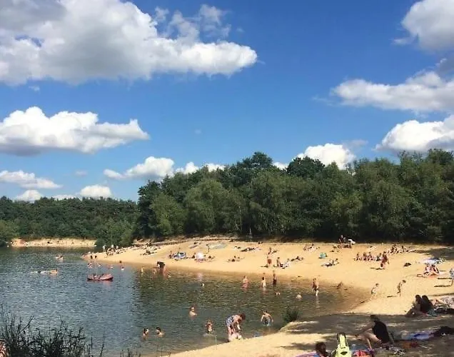 別荘 Thymian In Bei Oldenburg - Idyllische Waldlage Hatten