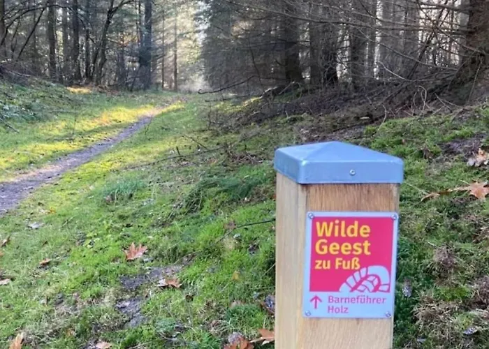 別荘 Thymian In Bei Oldenburg - Idyllische Waldlage Hatten