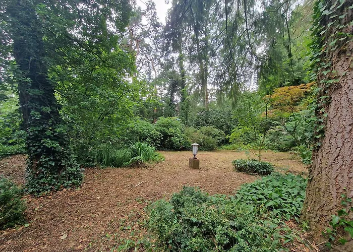 Thymian In Bei Oldenburg - Idyllische Waldlage 別荘