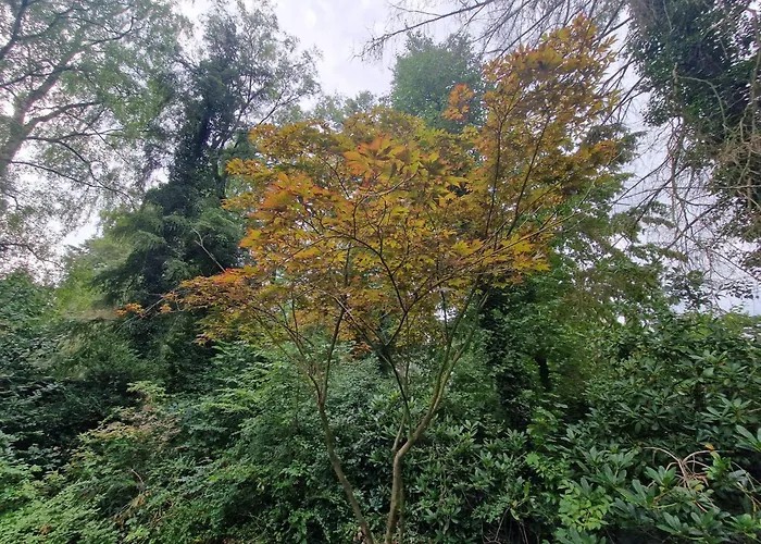 別荘 Thymian In Bei Oldenburg - Idyllische Waldlage *