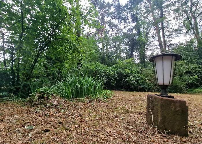 別荘 Thymian In Bei Oldenburg - Idyllische Waldlage