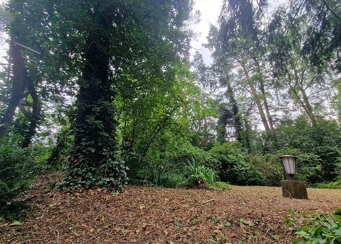 Thymian In Bei Oldenburg - Idyllische Waldlage 別荘