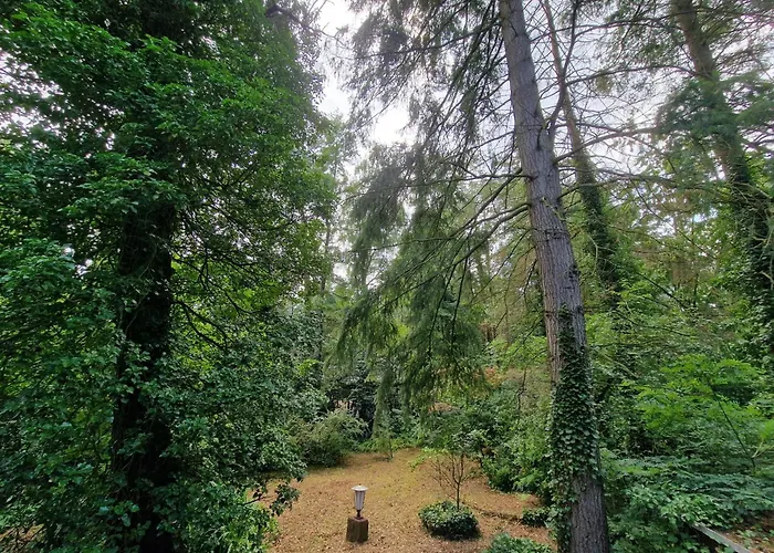 別荘 Thymian In Bei Oldenburg - Idyllische Waldlage *