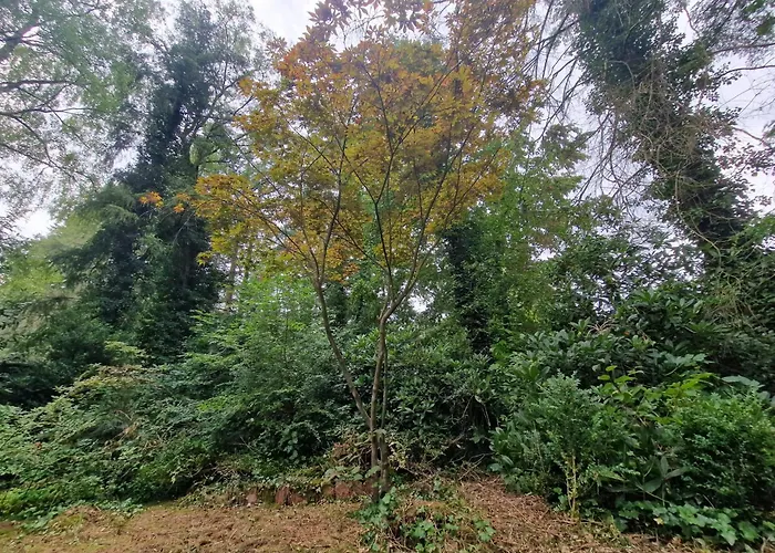 別荘 Thymian In Bei Oldenburg - Idyllische Waldlage